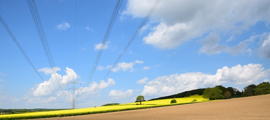 AdobeStock_152053636_537_240_04